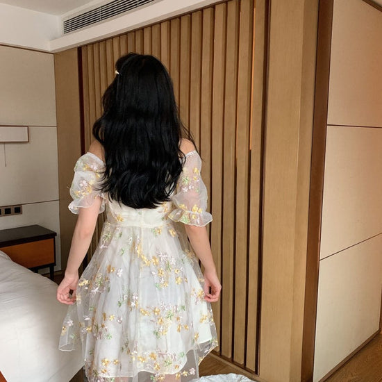 Aesthetic Alina Dress