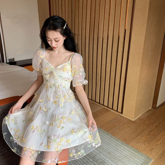 Aesthetic Alina Dress