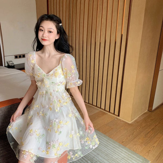 Aesthetic Alina Dress