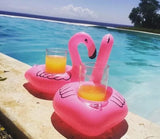 Mini Flamingo Float - 5Pcs