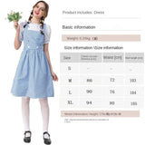 Wizard Of Oz Dorothy Costume