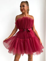 Elegant Mesh Gown Mini Dress - AMOROUSDRESS