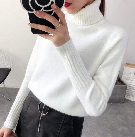 Darling Cashmere Turtleneck Sweater - AMOROUSDRESS