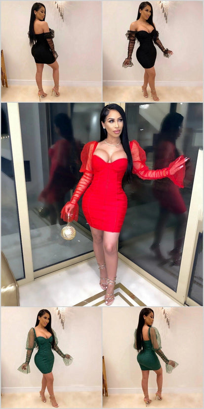 Mesh Puff Sleeve Party Dress - AMOROUSDRESS