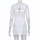 Zebra Mesh Transparent Mini Dress - AMOROUSDRESS